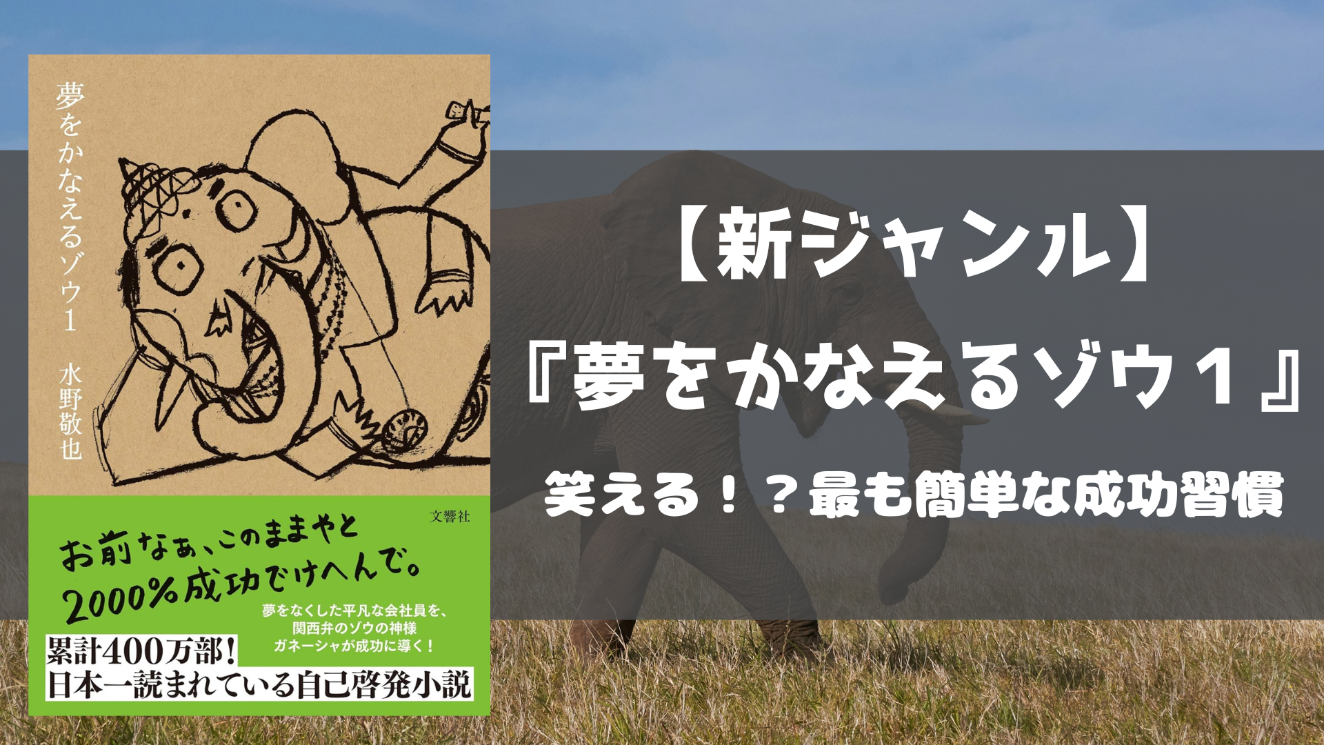 新ジャンル】水野敬也『夢をかなえるゾウ１』 あらすじと感想